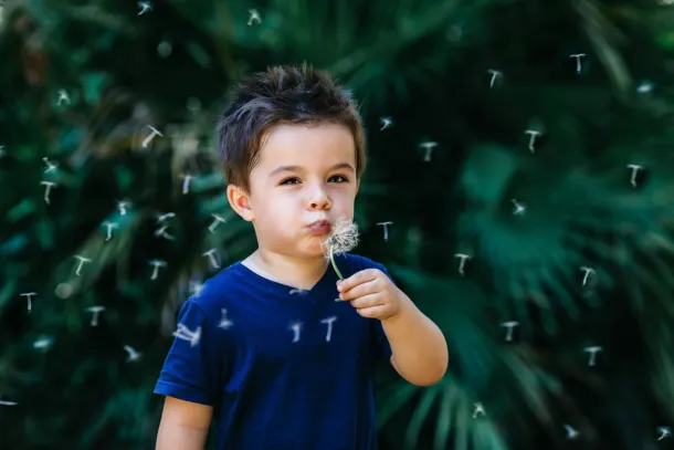photo d'un petit garçon qui souffle sur un pissenlit